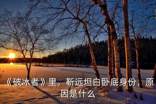 《破冰者》里，靳遠(yuǎn)坦白臥底身份，原因是什么