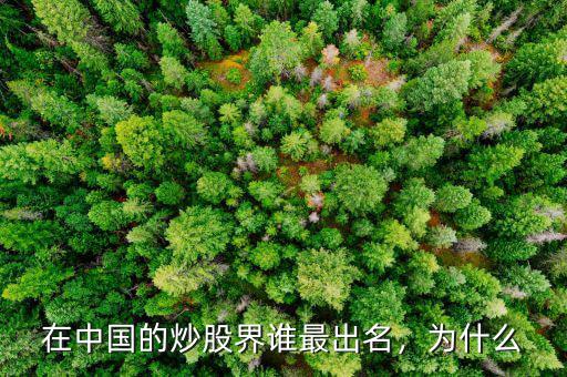 在中國(guó)的炒股界誰最出名，為什么