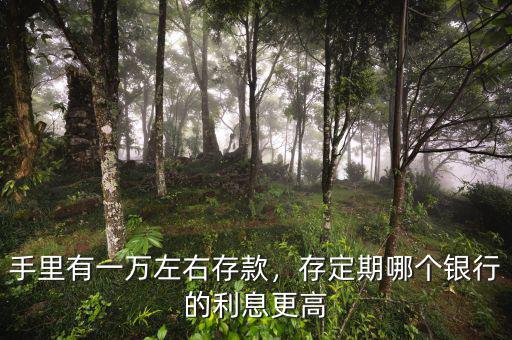 手里有一萬左右存款，存定期哪個(gè)銀行的利息更高