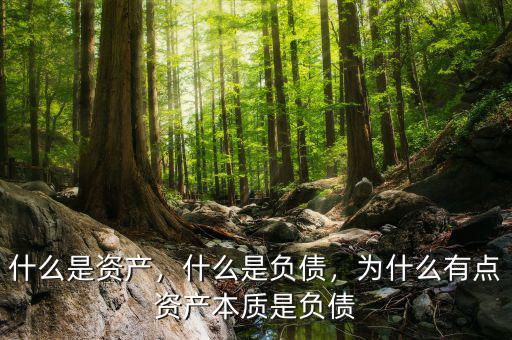什么是資產(chǎn)，什么是負(fù)債，為什么有點(diǎn)資產(chǎn)本質(zhì)是負(fù)債