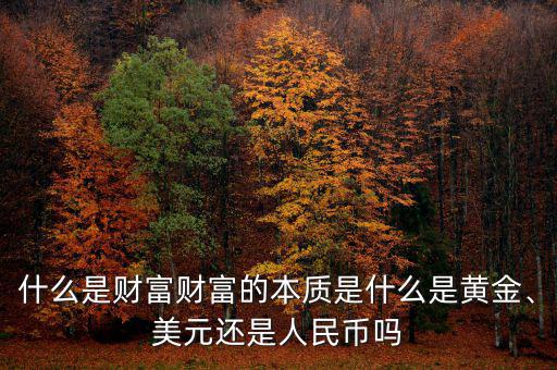 什么是財(cái)富財(cái)富的本質(zhì)是什么是黃金、美元還是人民幣嗎