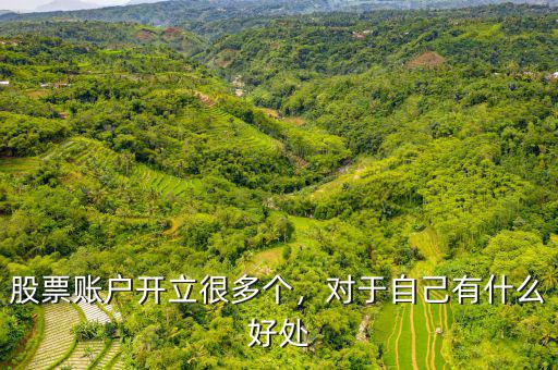股票賬戶開立很多個，對于自己有什么好處