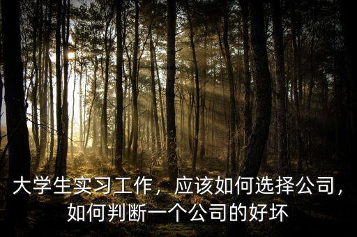 大學(xué)生實(shí)習(xí)工作，應(yīng)該如何選擇公司，如何判斷一個(gè)公司的好壞