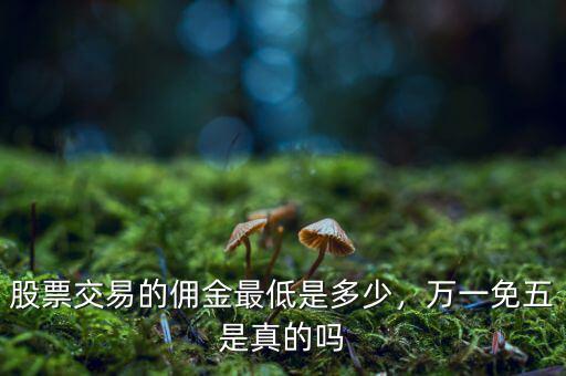 股票交易的傭金最低是多少，萬一免五是真的嗎