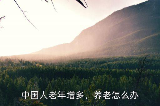 中國(guó)人老年增多，養(yǎng)老怎么辦