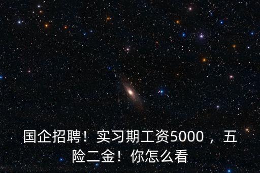 國(guó)企招聘！實(shí)習(xí)期工資5000 ，五險(xiǎn)二金！你怎么看