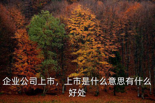 企業(yè)公司上市，上市是什么意思有什么好處