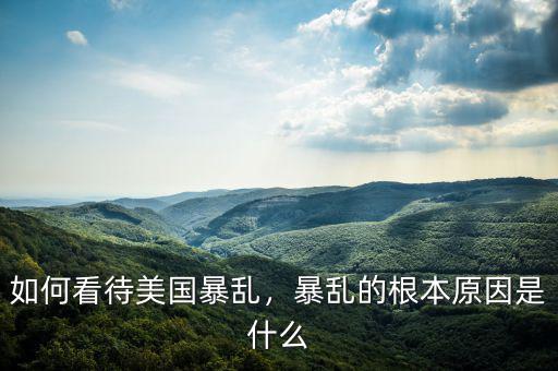 如何看待美國(guó)暴亂，暴亂的根本原因是什么