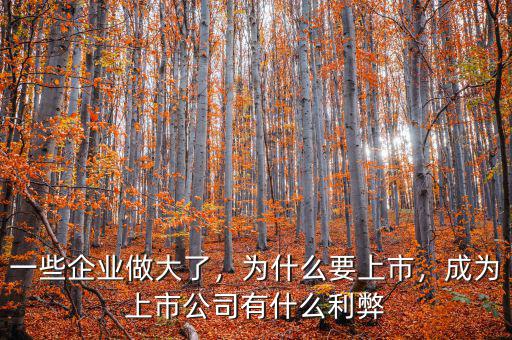 一些企業(yè)做大了，為什么要上市，成為上市公司有什么利弊