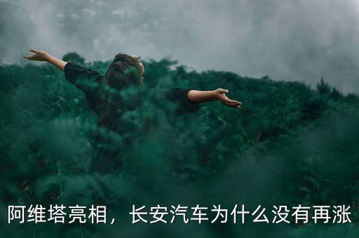 長(zhǎng)安汽車股票為什么不漲,這類股票為什么漲不起來(lái)
