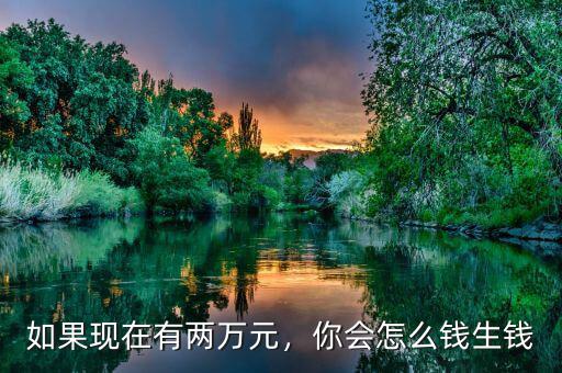 如果現(xiàn)在有兩萬元，你會怎么錢生錢