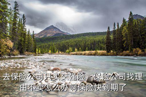 去保險公司只買交強險，保險公司找理由不賣怎么辦啊保險快到期了