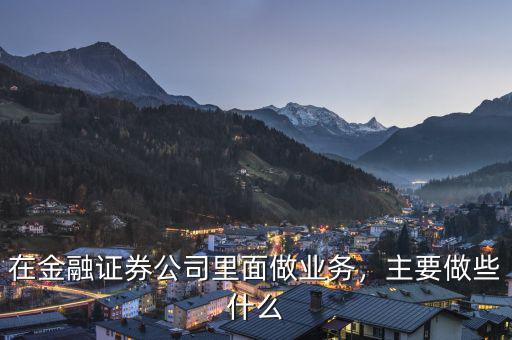 在金融證券公司里面做業(yè)務(wù)，主要做些什么