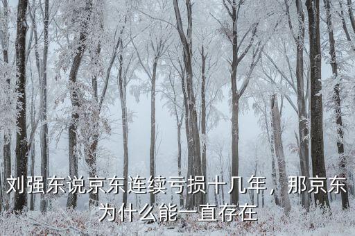 劉強(qiáng)東說京東連續(xù)虧損十幾年，那京東為什么能一直存在