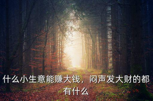 什么小生意能賺大錢，悶聲發(fā)大財?shù)亩加惺裁? class=