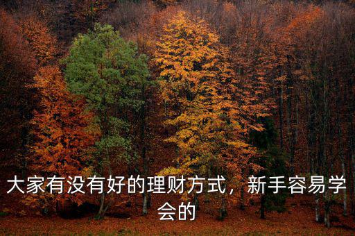 大家有沒有好的理財方式，新手容易學(xué)會的