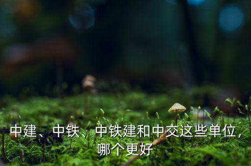 中建、中鐵、中鐵建和中交這些單位，哪個(gè)更好