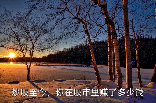 炒股至今，你在股市里賺了多少錢