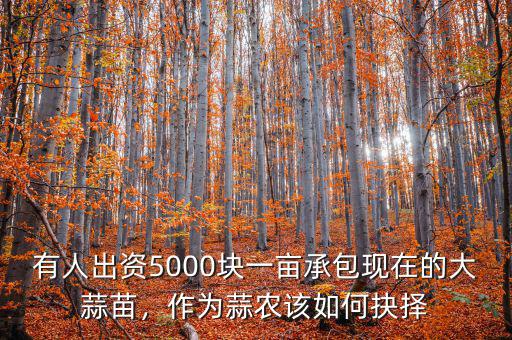 有人出資5000塊一畝承包現(xiàn)在的大蒜苗，作為蒜農(nóng)該如何抉擇