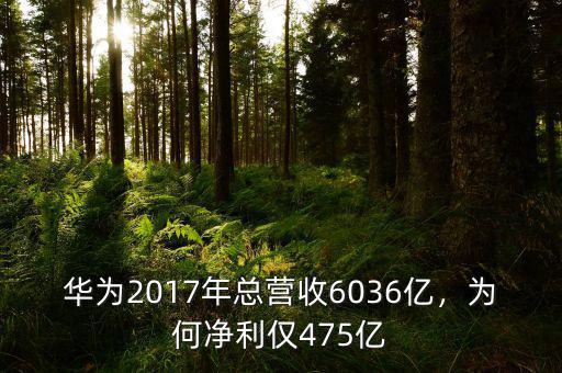 華為2017年總營收6036億，為何凈利僅475億