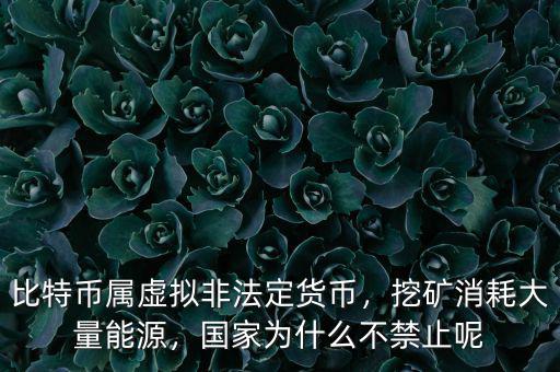 比特幣屬虛擬非法定貨幣，挖礦消耗大量能源，國(guó)家為什么不禁止呢