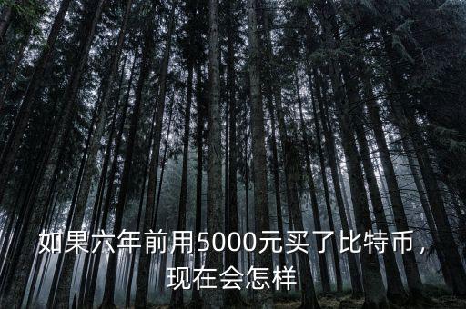 如果六年前用5000元買了比特幣，現(xiàn)在會(huì)怎樣