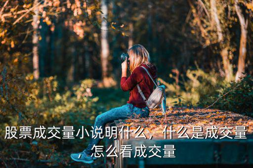 股票成交量小說明什么，什么是成交量，怎么看成交量