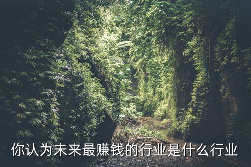 你認(rèn)為未來(lái)最賺錢的行業(yè)是什么行業(yè)