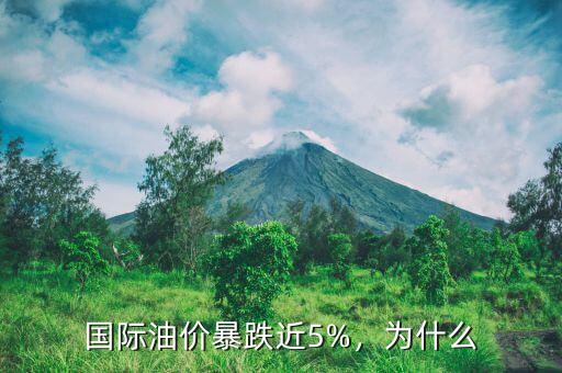 國際油價暴跌近5%，為什么