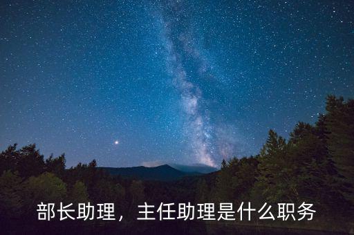 部長助理，主任助理是什么職務
