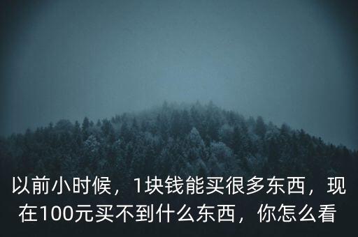 以前小時候，1塊錢能買很多東西，現(xiàn)在100元買不到什么東西，你怎么看