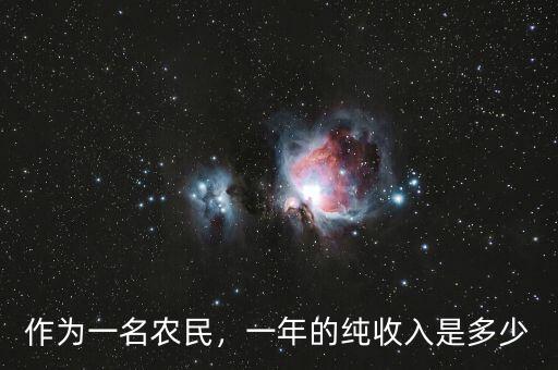 作為一名農(nóng)民，一年的純收入是多少