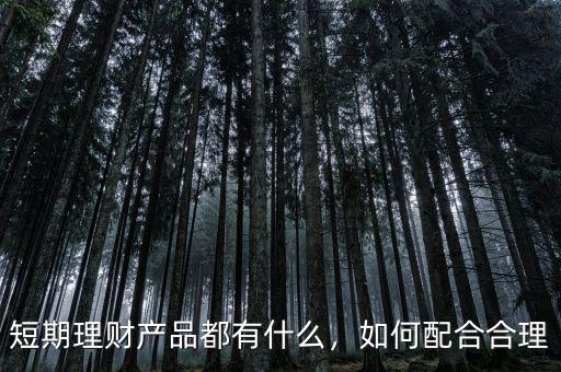短期理財產(chǎn)品都有什么，如何配合合理