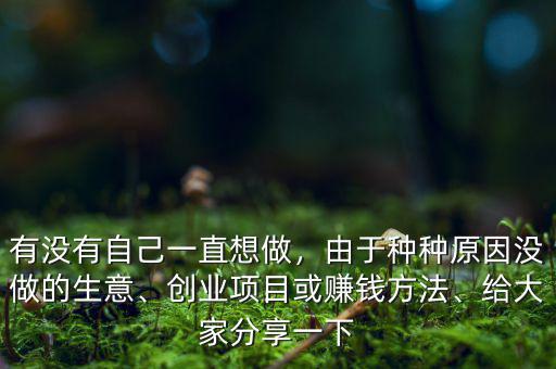 有沒(méi)有自己一直想做，由于種種原因沒(méi)做的生意、創(chuàng)業(yè)項(xiàng)目或賺錢(qián)方法、給大家分享一下