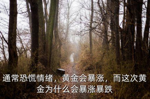 通?？只徘榫w，黃金會暴漲，而這次黃金為什么會暴漲暴跌