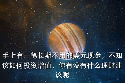 手上有一筆長(zhǎng)期不用的美元現(xiàn)金，不知該如何投資增值，你有沒有什么理財(cái)建議呢