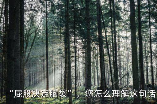 “屁股決定腦袋”，您怎么理解這句話