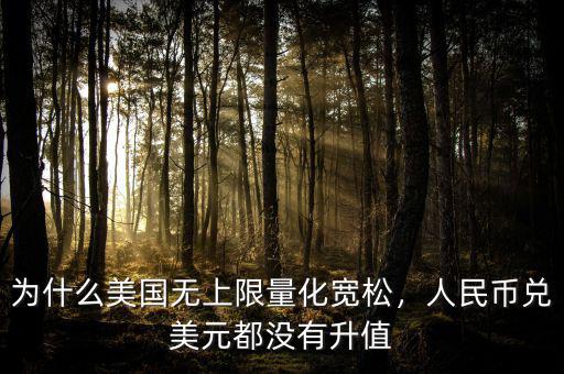 為什么美國無上限量化寬松，人民幣兌美元都沒有升值