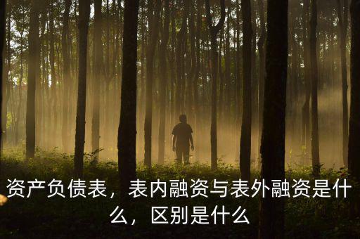 資產(chǎn)負(fù)債表，表內(nèi)融資與表外融資是什么，區(qū)別是什么
