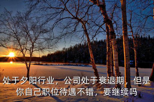 處于夕陽行業(yè)，公司處于衰退期，但是你自己職位待遇不錯，要繼續(xù)嗎
