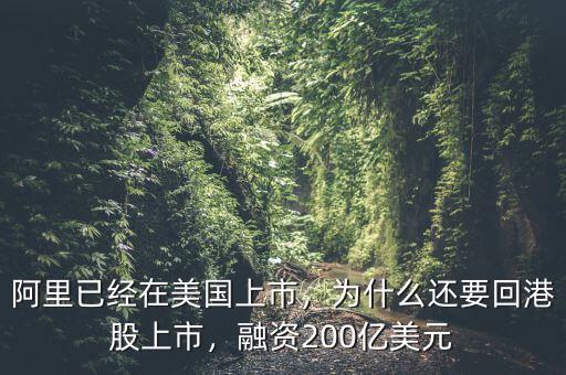 阿里已經(jīng)在美國(guó)上市，為什么還要回港股上市，融資200億美元