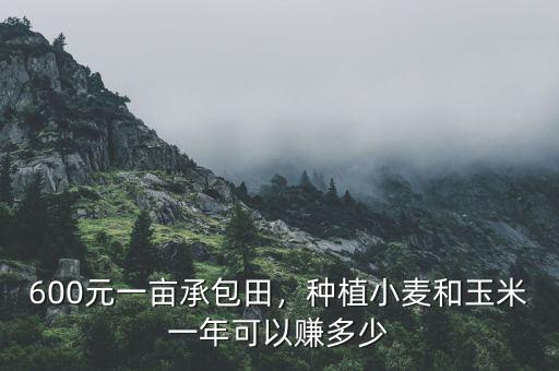 600元一畝承包田，種植小麥和玉米一年可以賺多少