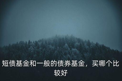 短債基金和一般的債券基金，買哪個比較好