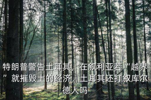 特朗普警告土耳其，在敘利亞若“越界”就摧毀土的經(jīng)濟，土耳其還打敘庫爾德人嗎