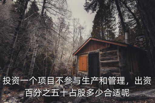 投資一個項目不參與生產和管理，出資百分之五十占股多少合適呢