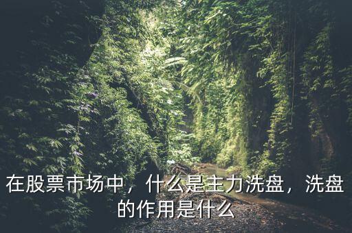 在股票市場中，什么是主力洗盤，洗盤的作用是什么