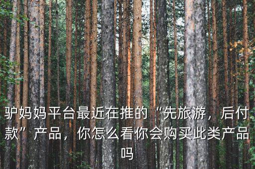 驢媽媽平臺(tái)最近在推的“先旅游，后付款”產(chǎn)品，你怎么看你會(huì)購(gòu)買(mǎi)此類(lèi)產(chǎn)品嗎
