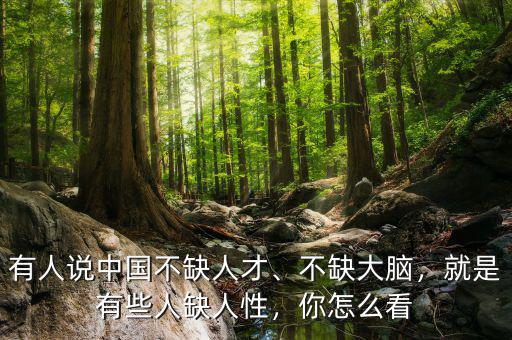 有人說中國不缺人才、不缺大腦，就是有些人缺人性，你怎么看