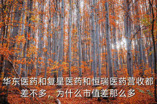 華東醫(yī)藥和復(fù)星醫(yī)藥和恒瑞醫(yī)藥營(yíng)收都差不多，為什么市值差那么多