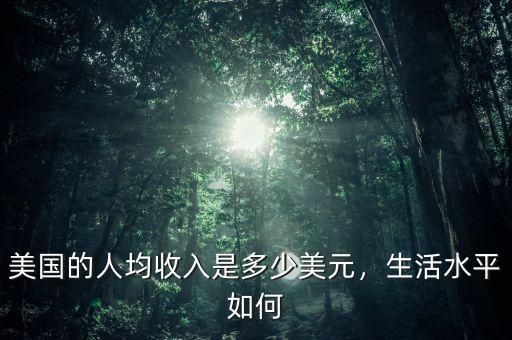 美國的人均收入是多少美元，生活水平如何